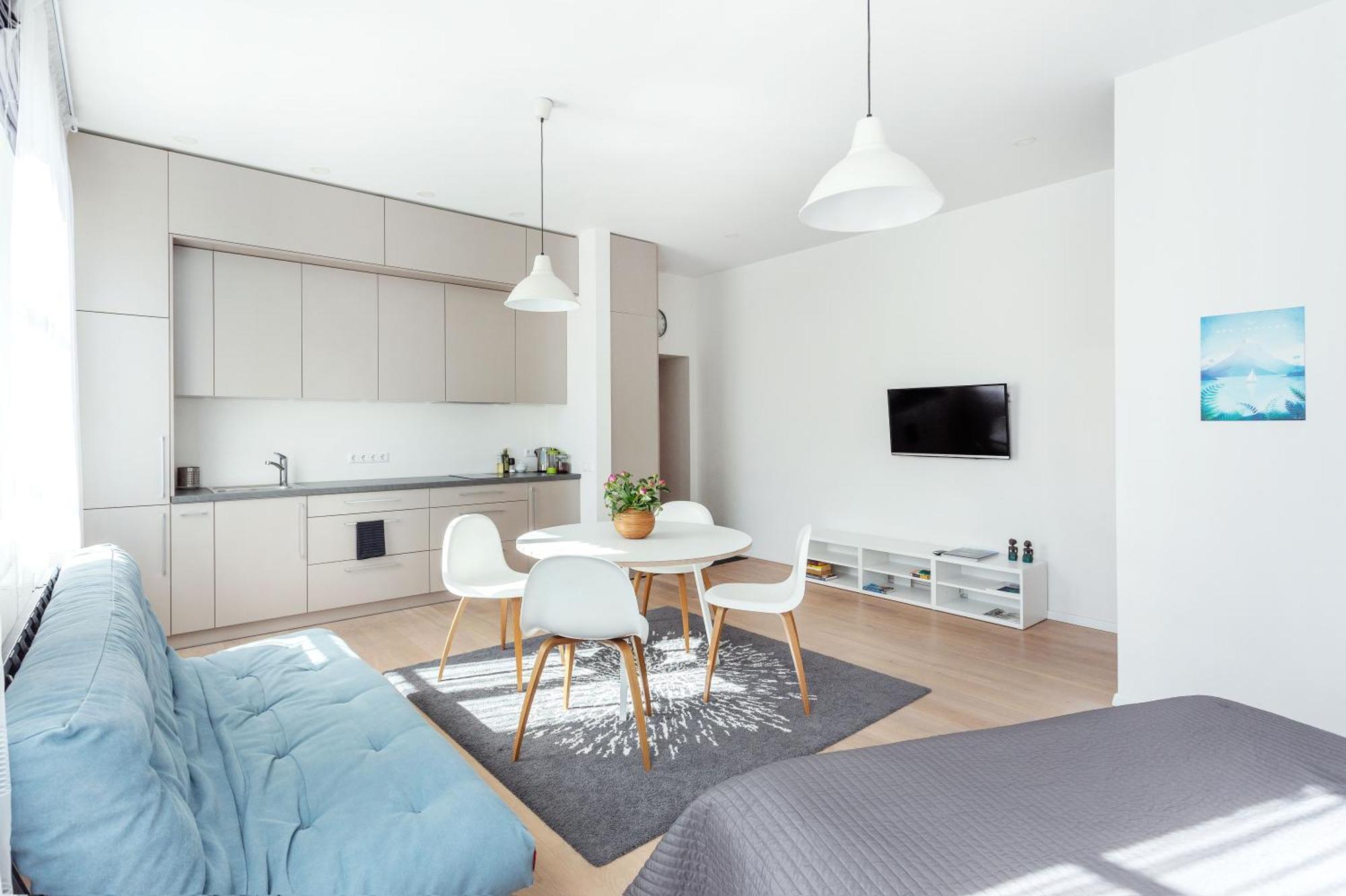 Spacious Cozy Studio, 3a Vilnius