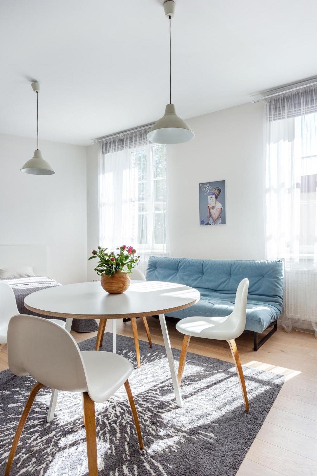 Spacious Cozy Studio, 3a Vilnius